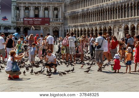 16. Luglio 2012 - persone con piccioni In San Marco Plaza 3 a Venezia, Italia