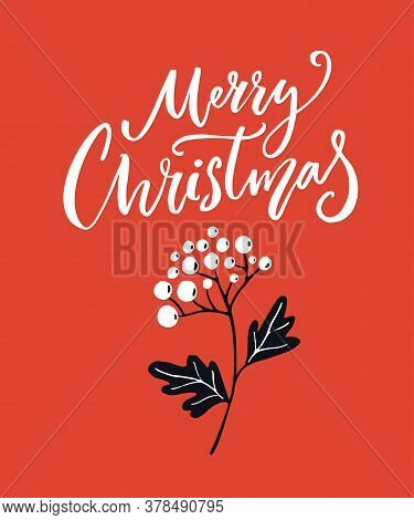 Red Merry Christmas Card With Calligraphy Text And Branch Of White Berires. Bright Bold Greeting Car