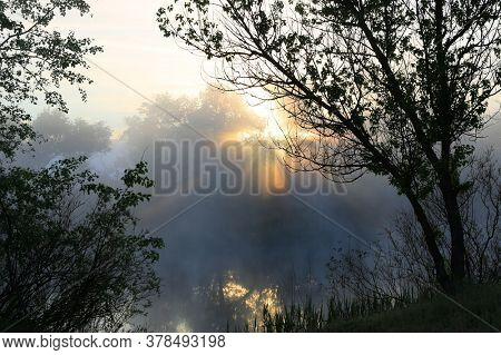Scene with morning sunshine over fogge lake in forest