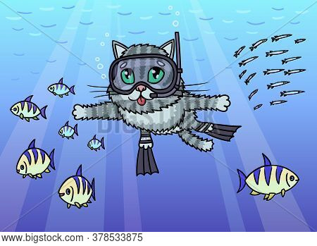Cat Diver Swims Under Water. He Observes The Life Of Fish.