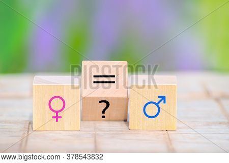 Wooden Cubes With Feminism And Masculism Symbols, Question Mark And Equal Sign. Gender, Sexual Equal