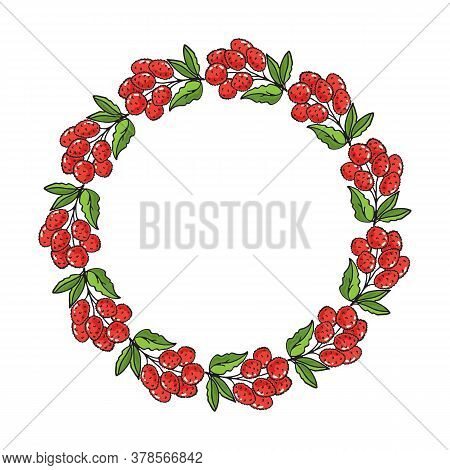 Circle Frame With Lychees Isolated On White Background. Vector Illustration. Doodle Style. Design El