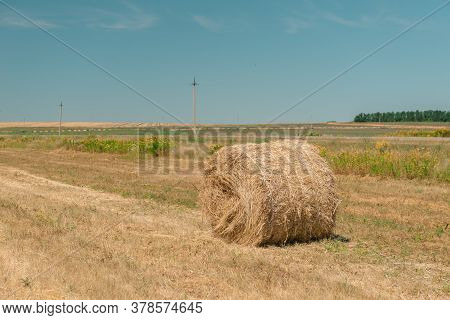 Haystack Rolls On Agriculture Field Landscape. Haystack Harvesting Field.