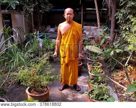 Bangkok, Thailand, February 4, 2013: Buddhist Monk Poses Among The Plants In The Courtyard Of A Temp