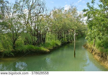 The Wetlands Of Isola Della Cona In Friuli-venezia Giulia, North East Italy