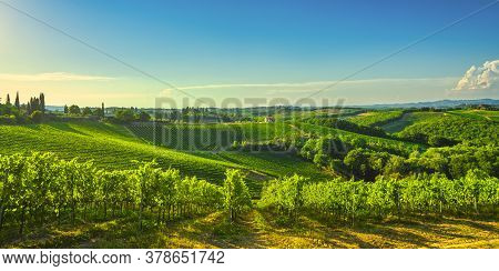 Panoramic View Of Countryside Chianti And Vernaccia Vineyards. San Gimignano At Sunset. Tuscany, Ita