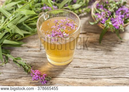 Fireweed Is A Healthy Herbal Tea. Mug Of Traditional Russian Drink Ivan Tea On A Wooden Background W