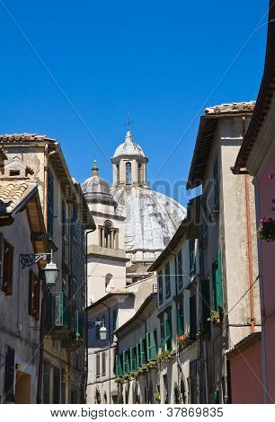 Gyde. Montefiascone. Lazio. Italien.