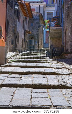 Gyde. Montefiascone. Lazio. Italien.