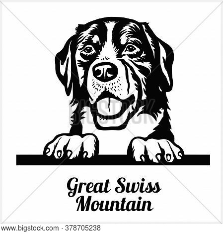 Great Swiss Mountain - Peeking Dogs - Breed Face Head Isolated On White