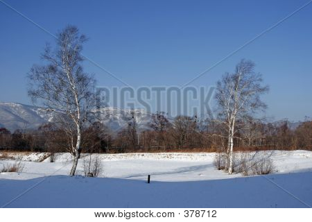 To Birkene