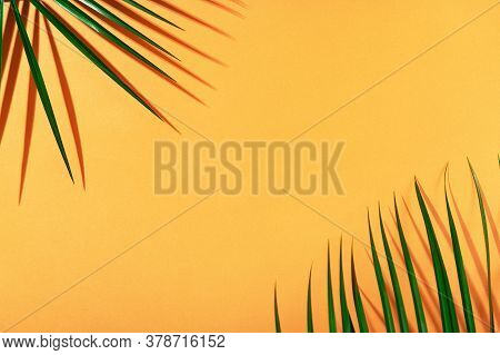 Bright Orange Summer Background Top View With Green Fresh Leaves Of Robelini Palm And Shadow. Summer