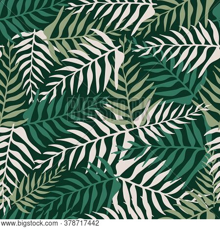Tropical Palm Leaves, Botanical Motifs On A Seamless Pattern. Vector Print