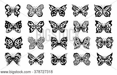 Set Of Vector Butterflies, Black Colored Different Butterfly Design Collection, Stylized, Patterned 
