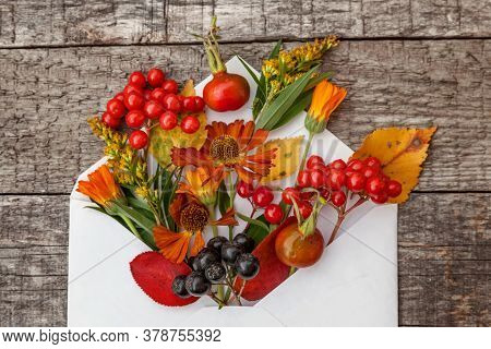 Autumn Floral Composition. Plants Viburnum Rowan Berries Dogrose Fresh Flowers Colorful Leaves In Ma
