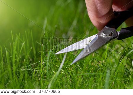 Close-up Detail View Of Man Hand Cutting Green Grass On Backyard Garden With Small Nail Scissors On 