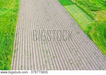 Spudding Soil Around Image & Photo (Free Trial) | Bigstock