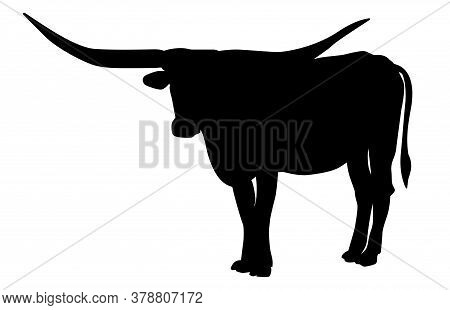 Texas Longhorn Bull, Cattle Icon, On White Background. Vector Illustrations.