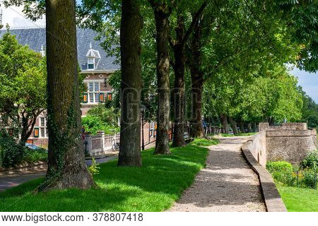 Walnuts Tree Alley In  Little Ancient Town With Big History Buren, Gelderland, Netherlands