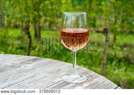 Tasting Of Dutch Sparkling Rose Wine On Vineyard In Summer