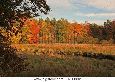 Herbstfarben