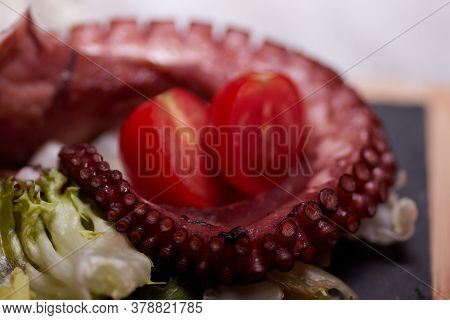 Night Photography Of A Plate Of Octopus And Oil With Salad