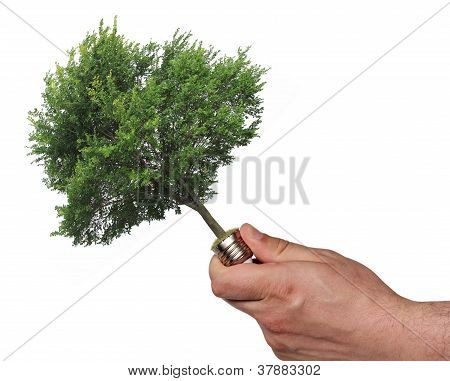 Concetto ecologico, che simboleggia la energie rinnovabili, Bio-energia