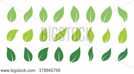 Green Abstract Leaf Icons. Natural Greens Young Plants Pictograms And Leaf Or Forest Branch Leaves. 