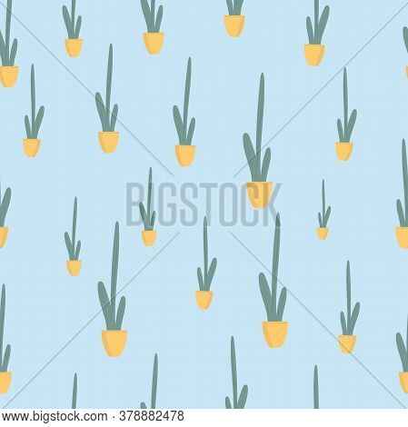 Seamless Patternt Houseplant In Ceramic Pot Flat Vector Illustration. Evergreen Plant Isolated On Bl