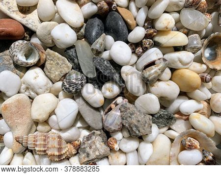 Multi-colored Sea Pebbles Made Of Beautiful Stones And Shells Are A Wonderful Background For Any Com