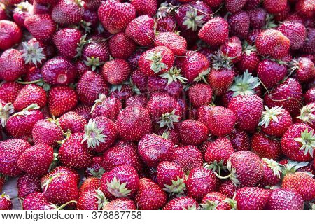 Fresh Organic Red Ripe Strawberry Fruit Background Closeup. Fresh Organic Berries Macro. Fruit Backg