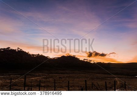 Sunrise In The Sierra Catarinense, Colorful Sky With Silhouette Of Araucarias Forest.
