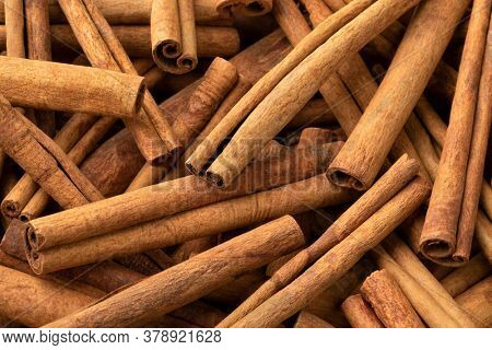Dried Cinnamomum cassia close up full frame