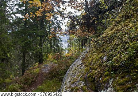 Koli National Park In The Region Of North-karelia, Finland