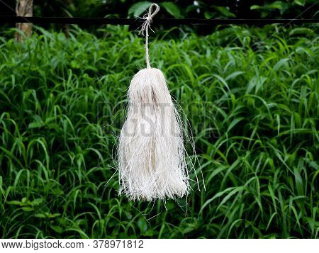 Odapoovu Or Bamboo Flower, Made Of Beaten Bamboo,a  Special Offering At Kottiyoor Temple.
Kottiyoor 