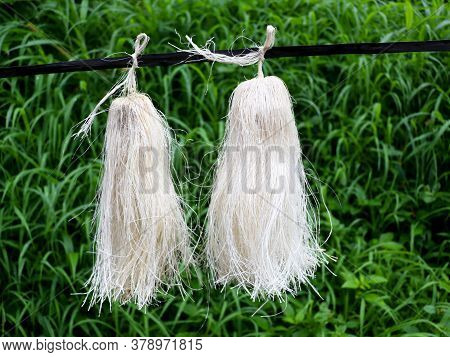 Odapoovu Or Bamboo Flower, Made Of Beaten Bamboo,a  Special Offering At Kottiyoor Temple.
Kottiyoor 