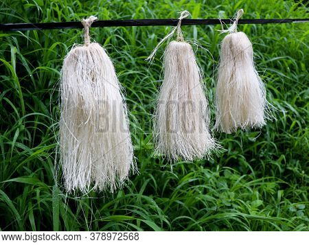 Odapoovu Or Bamboo Flower, Made Of Beaten Bamboo,a  Special Offering At Kottiyoor Temple.\nkottiyoor