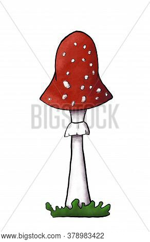 Illustration Of Redcap Fly Agaric On Green Grass. Hand-drawn Poisonous Mushroom With Dots On Red Cap