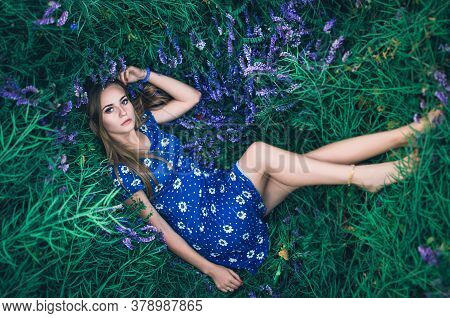 Young Slim Fair-skinned Girl Blonde Beautiful Lies In Tall Grass.