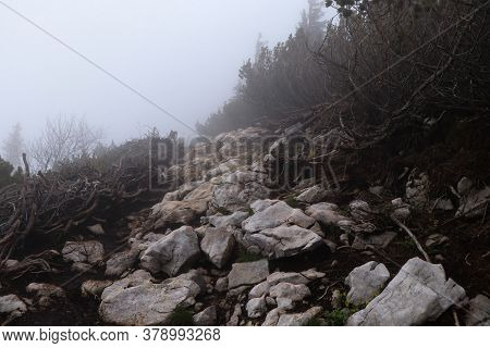 Terrible Path Across The Hinterland On The Hochlantsch Mountain In The Fischbach Alps, Austria. A Mu