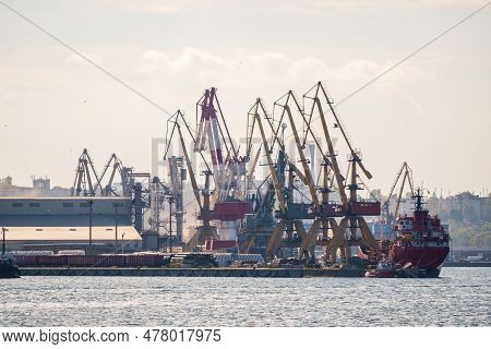 Container Terminal, With Cranes, In A Commercial Port