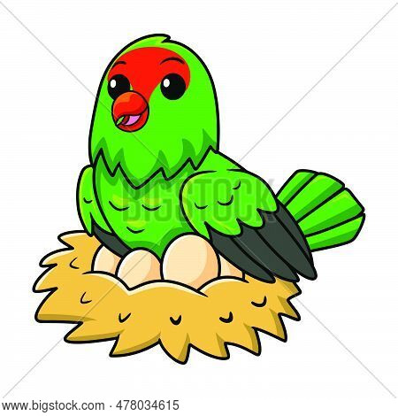 Vector Illustration Of Cute Black Winged Lovebird Cartoon With Eggs In The Nest
