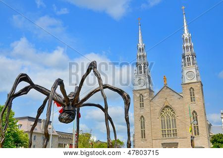 Notre-Dame katedral Basilica og Maman