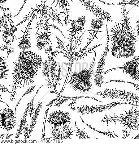 Ink Hand Drawn Graphic Vector Sketch. Seamless Pattern, Scottish Symbol Objects. Heather, Thistle An