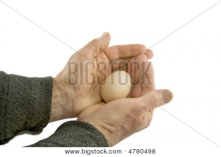 Man's Hands Hold Egg Isolated Over White Background