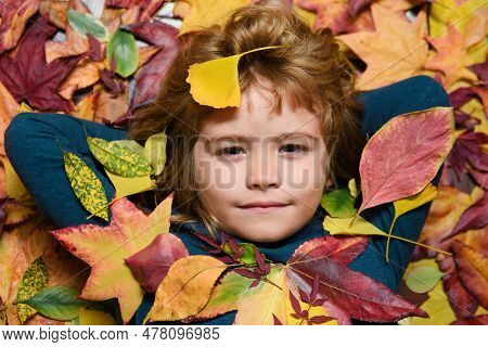 Kids Play With Autumn Fall Leaves In Park. Children Throwing Yellow Leaves. Child Boy Hold Maple Lea