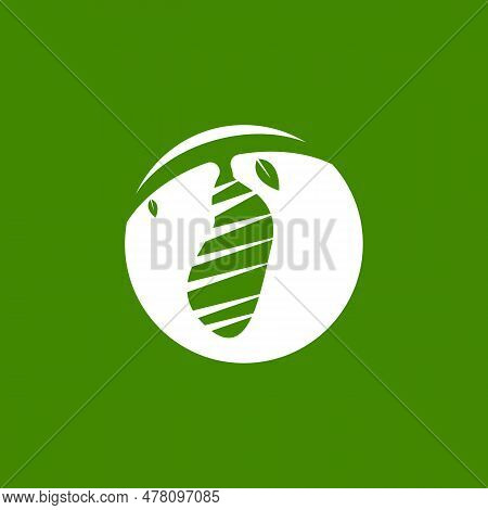 Cocoon Logo Vector Illustration Design Template