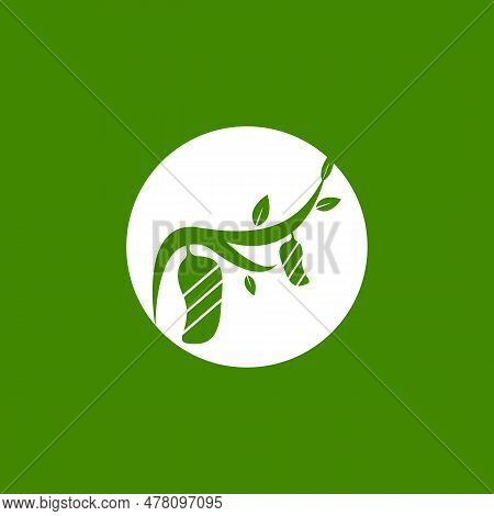 Cocoon Logo Vector Illustration Design Template