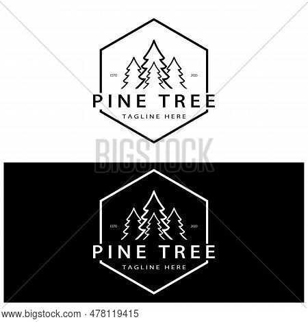 Simple Pine Or Fir Tree Logo,evergreen.for Pine Forest,adventurers,camping,nature,badges And Busines