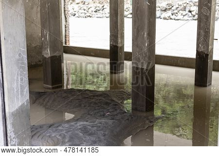 Aftermath Of A Markets And Restaurants Submerged By A Heavy Flood Water At River Swat In Bahrain Val
